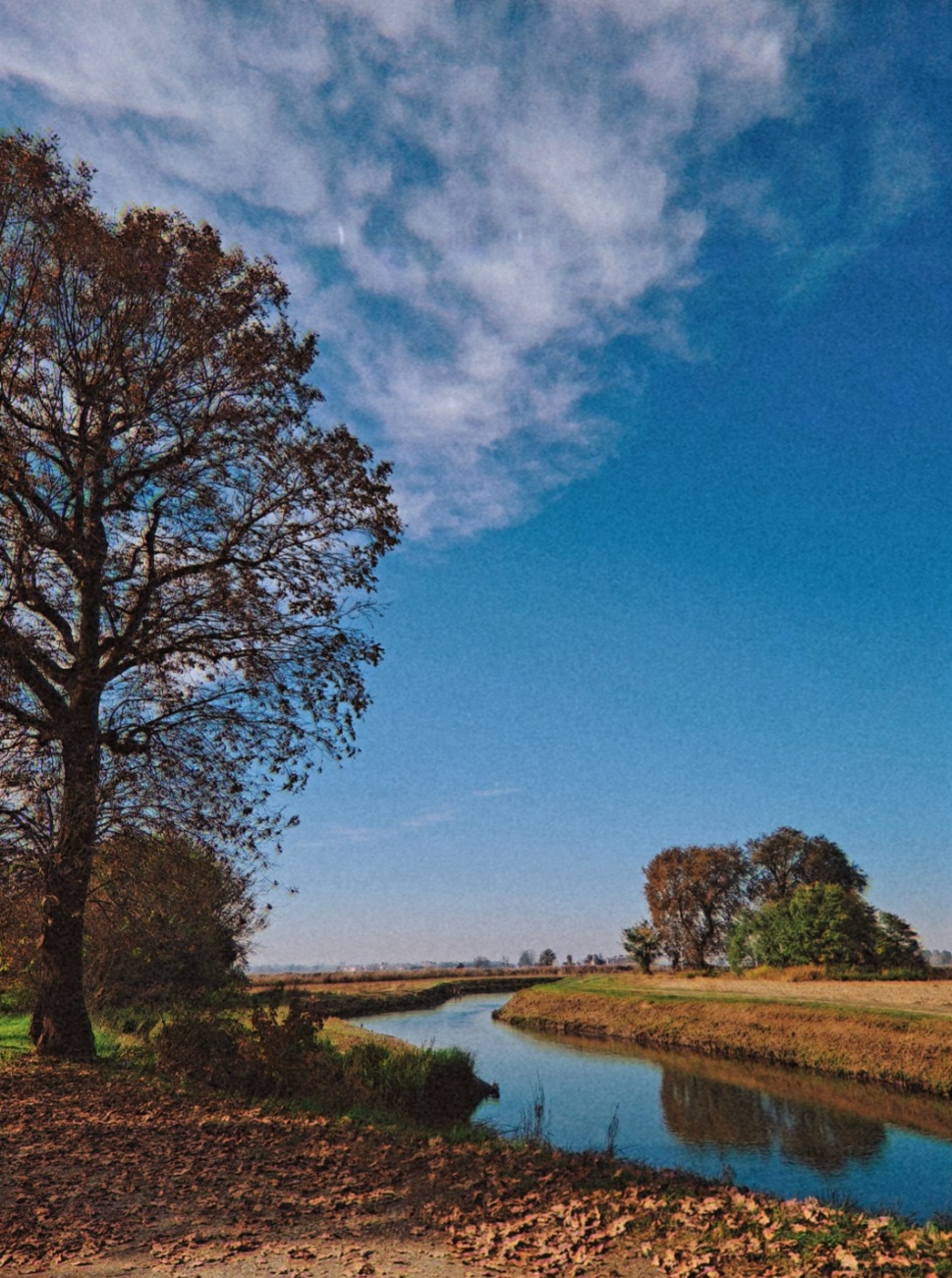Ottobre .jpg